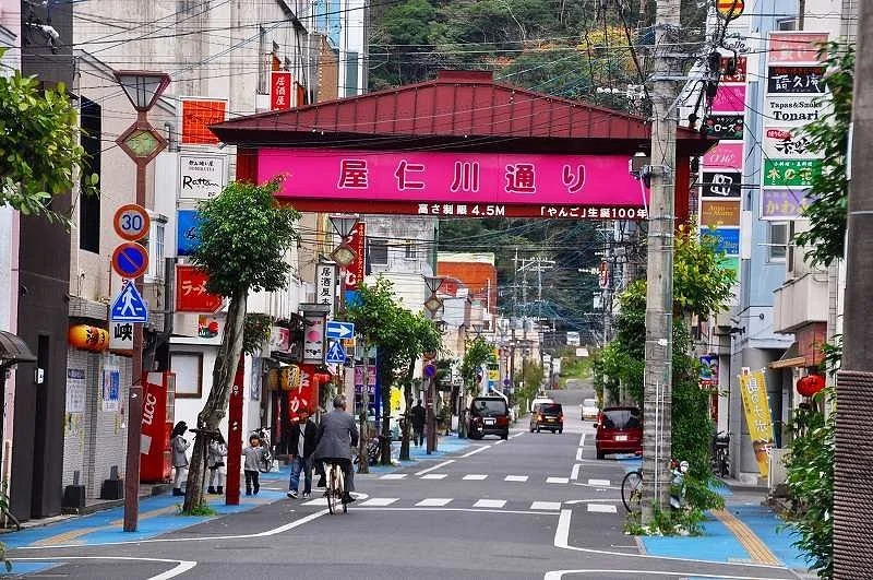 Yanigawa Shopping Street