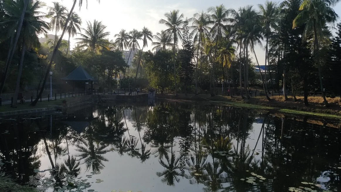 Tai Nan Yong Kang Park