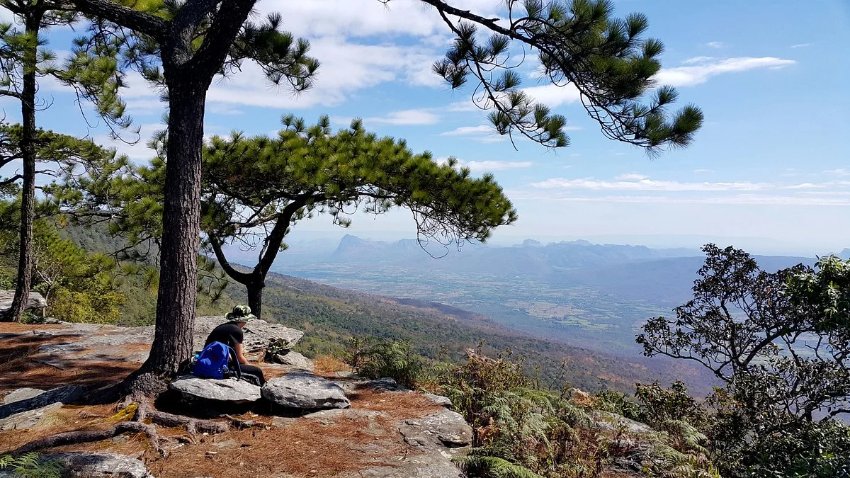 Phu Kradueng National Park