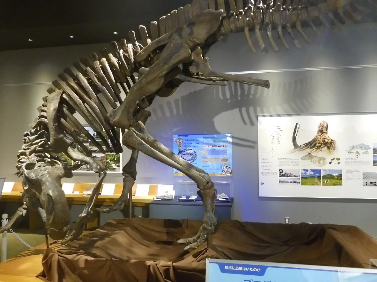 Shimane Nature MUseum of Mt.Sambe Sahimel