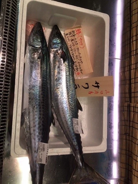 Manadzuru Umi no Eki
