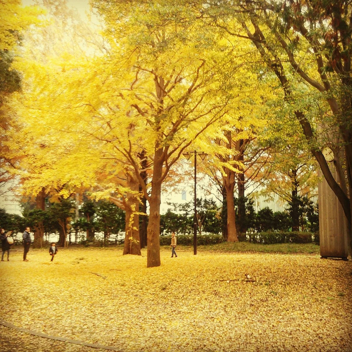 Hiratsuka City Park