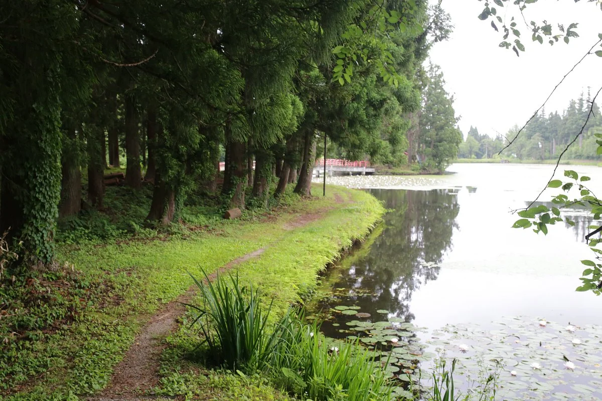 Omatsu no Ike Pond