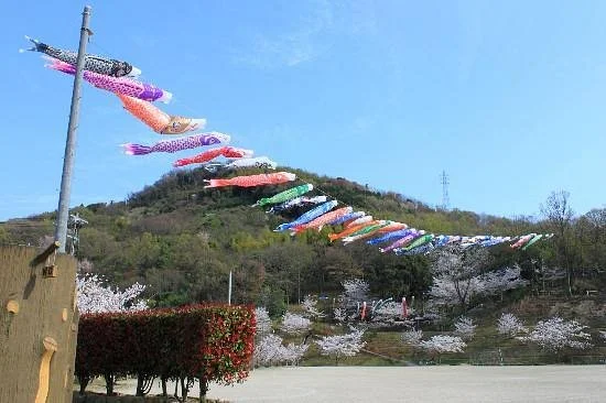 Ykota Park