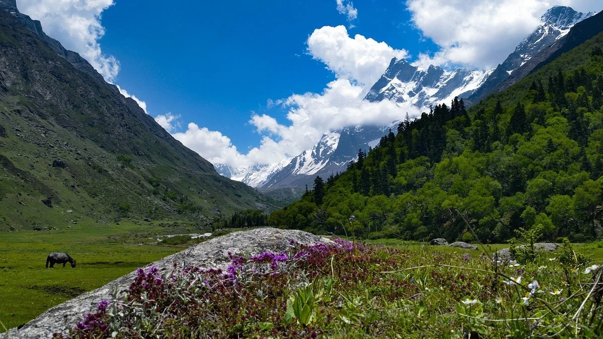 Har Ki Dun Valley