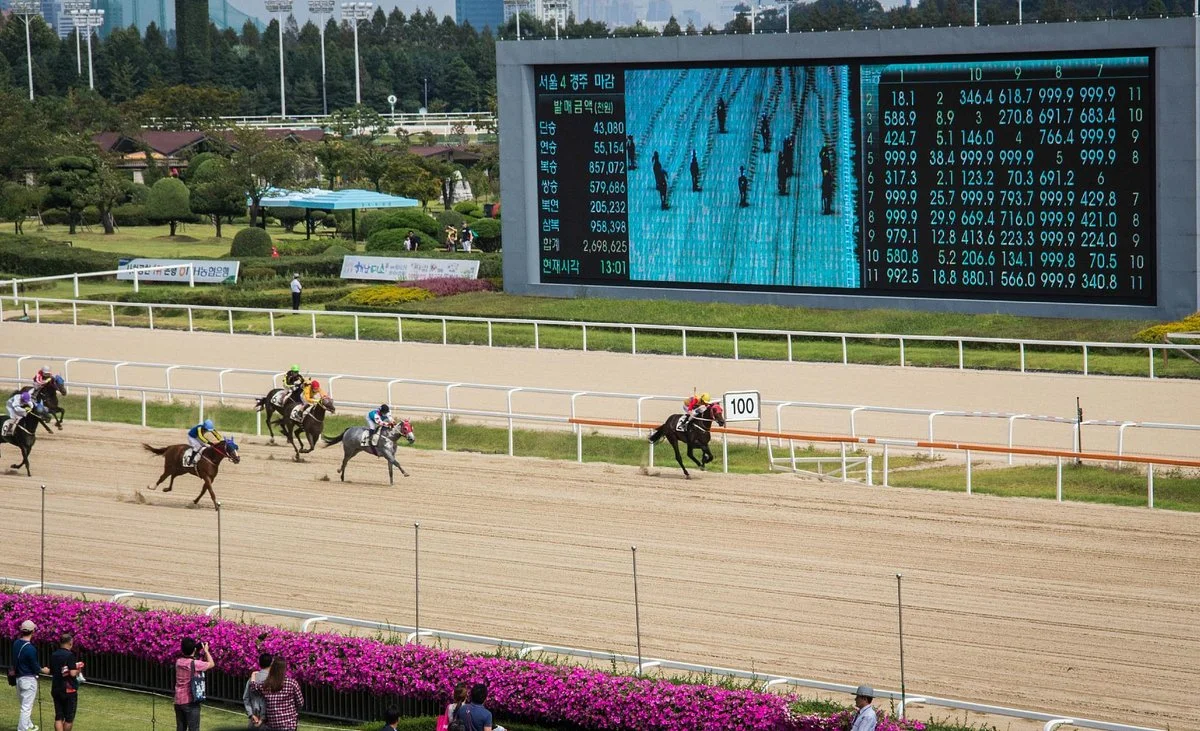 LetsRun Park Seoul(Seoul Racecourse Park)