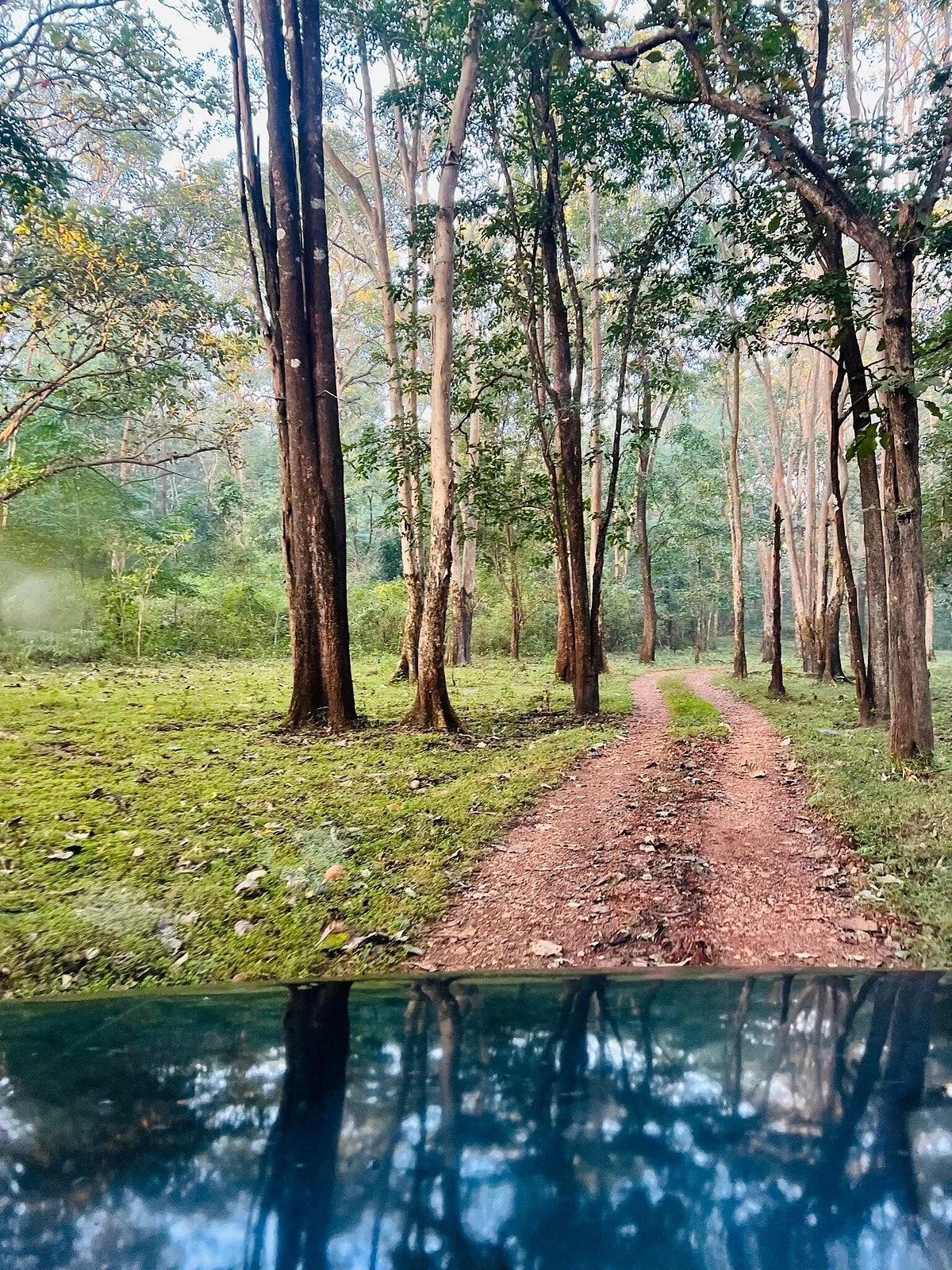 Muthodi Wildlife Sanctuary