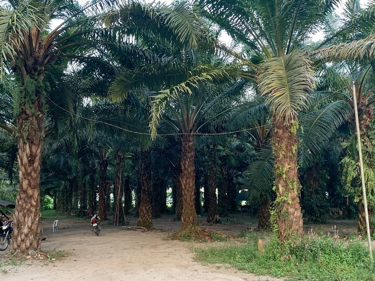 Baras Bird Sanctuary