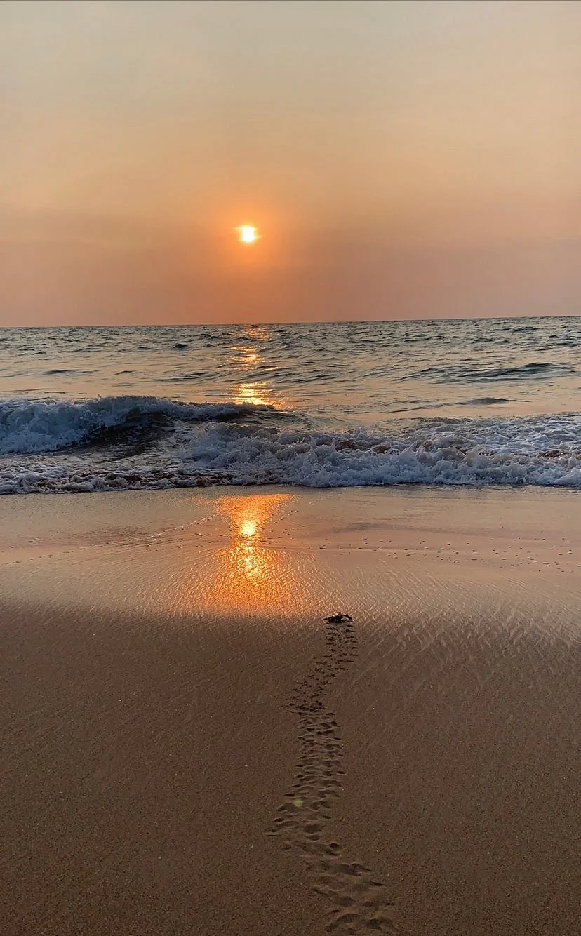 Galbokka Sea Turtle Hatchery