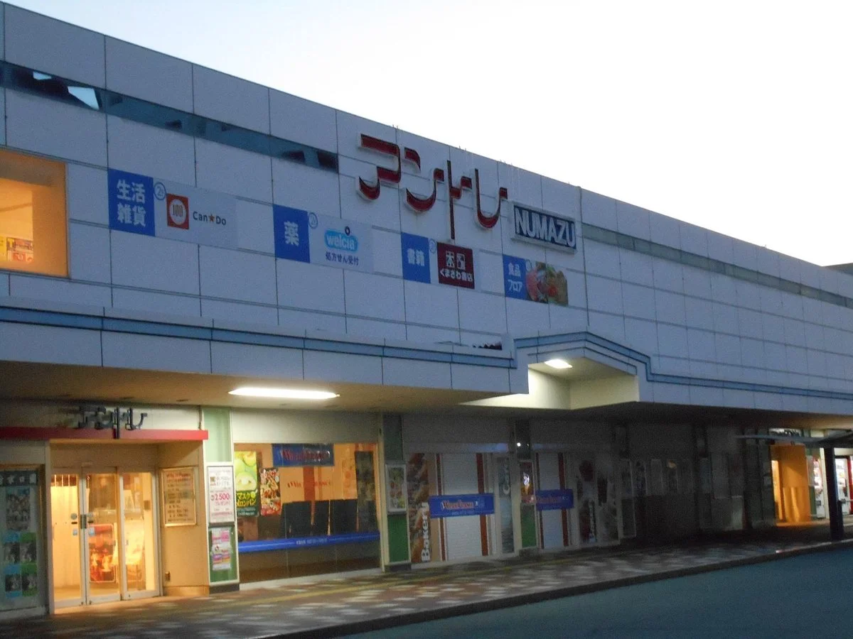 Numazu Station Antre