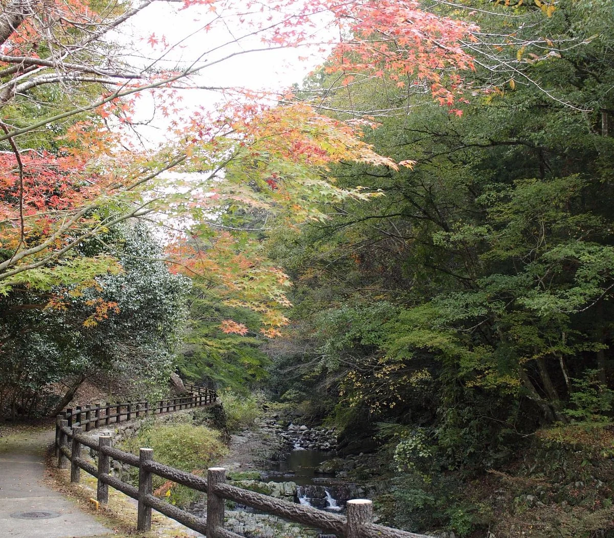 Mikado Gorge