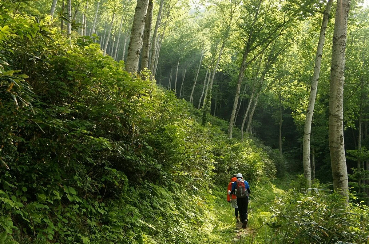 Mt. Madarao