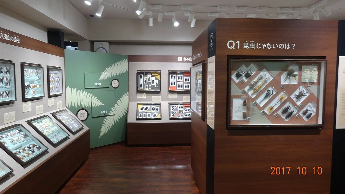 Nawa Insect Museum Haimurubushi