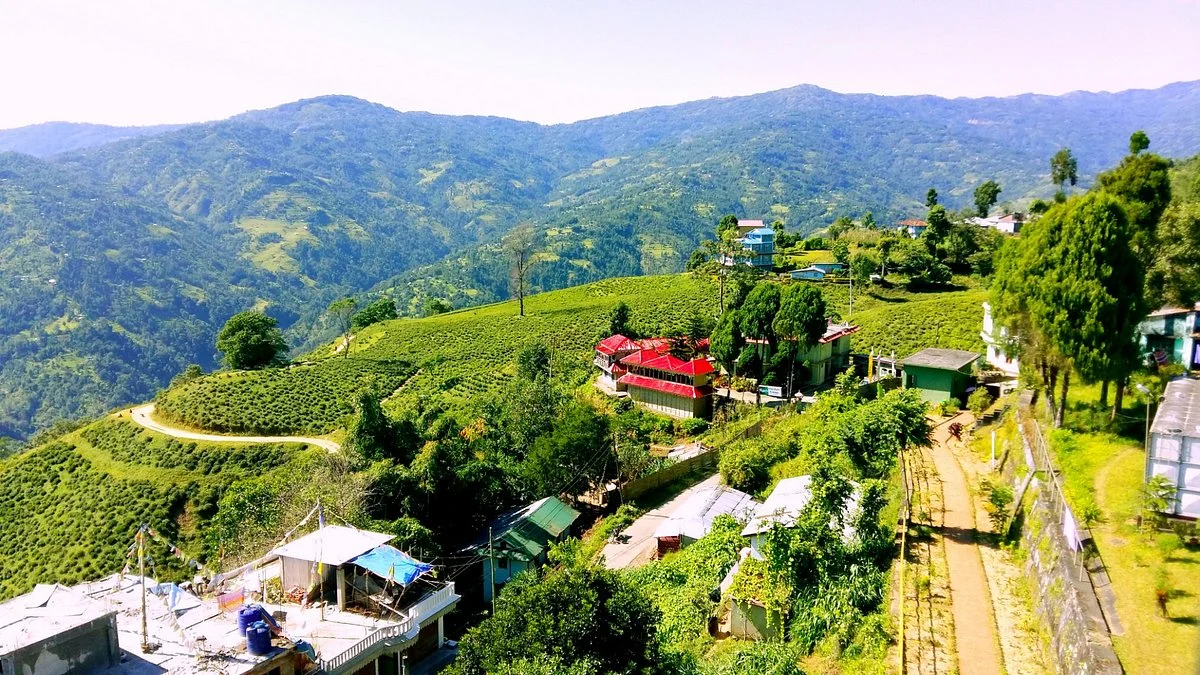 Ilam Tea Garden