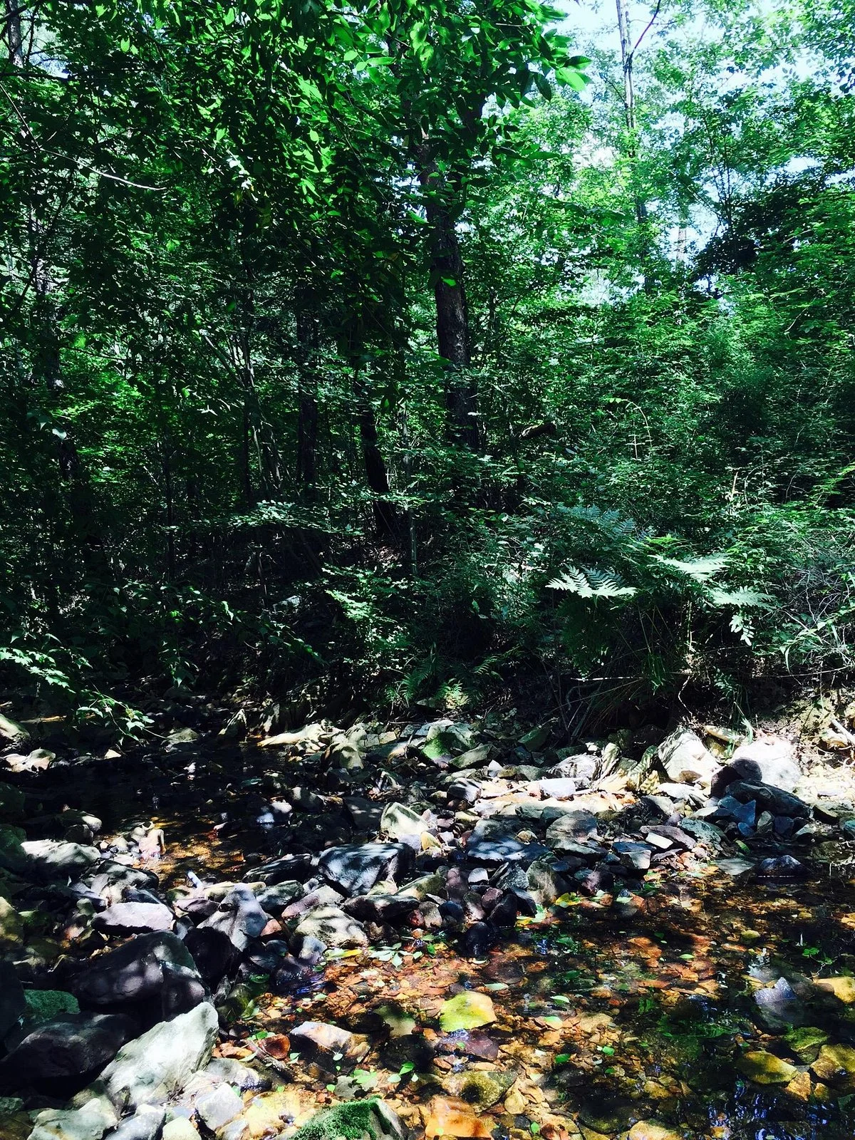 Namhae Pyeonbaek Recreational Forest