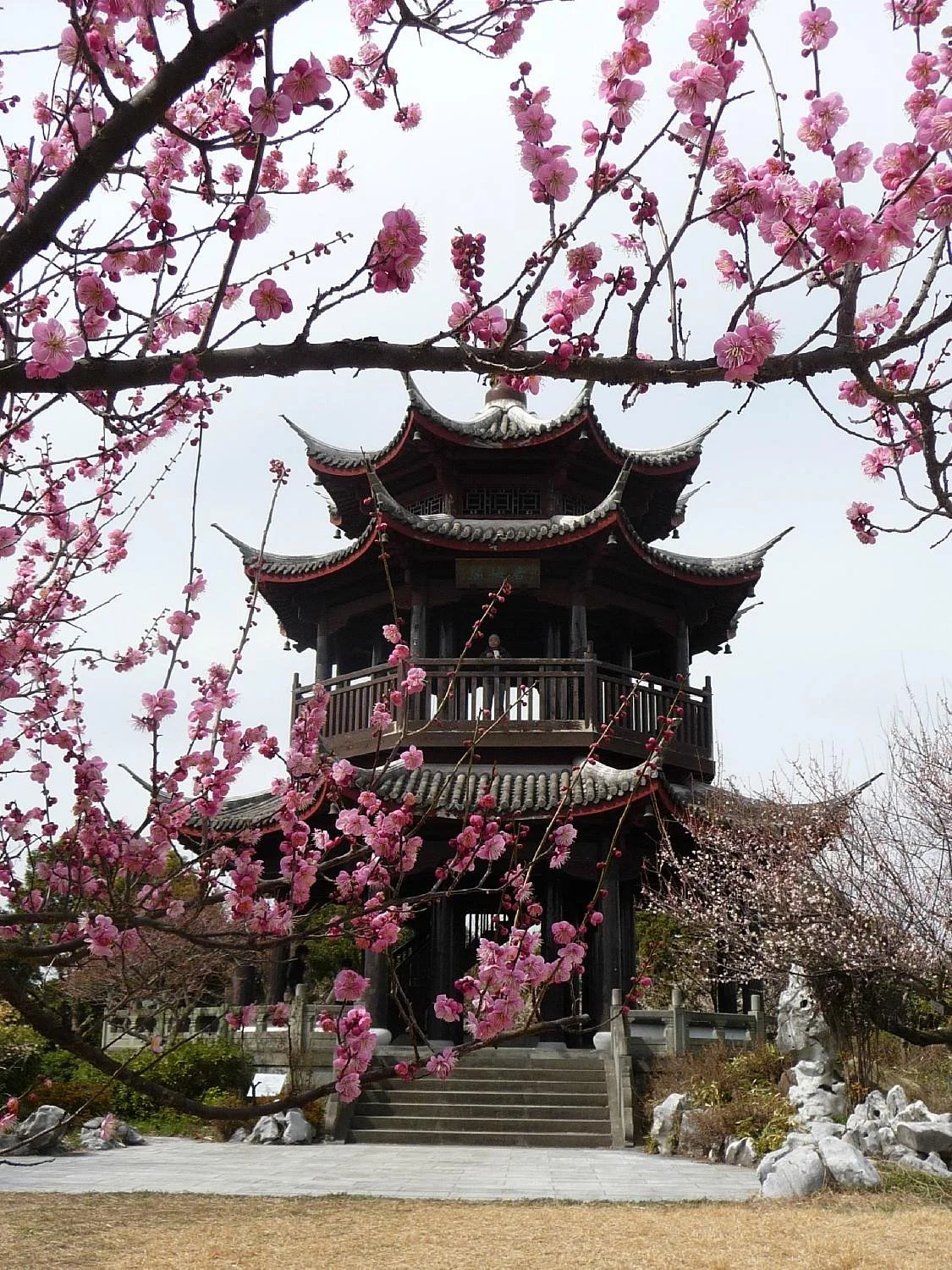 Ume Tree Parks