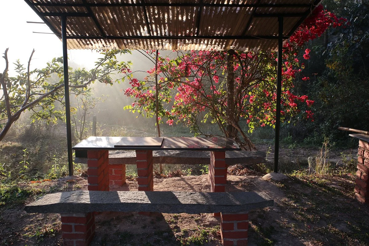 The Giving Tree at Kasthuri Estate