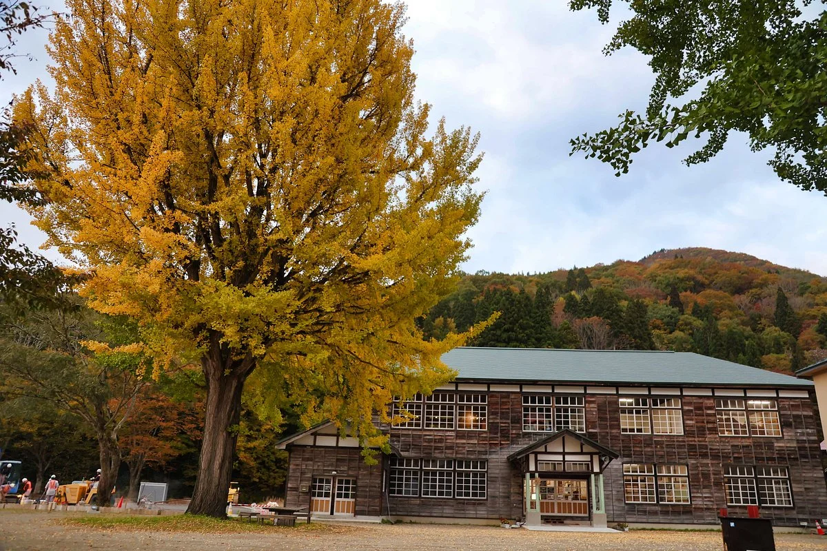 Kyu Kuimaru Primary School