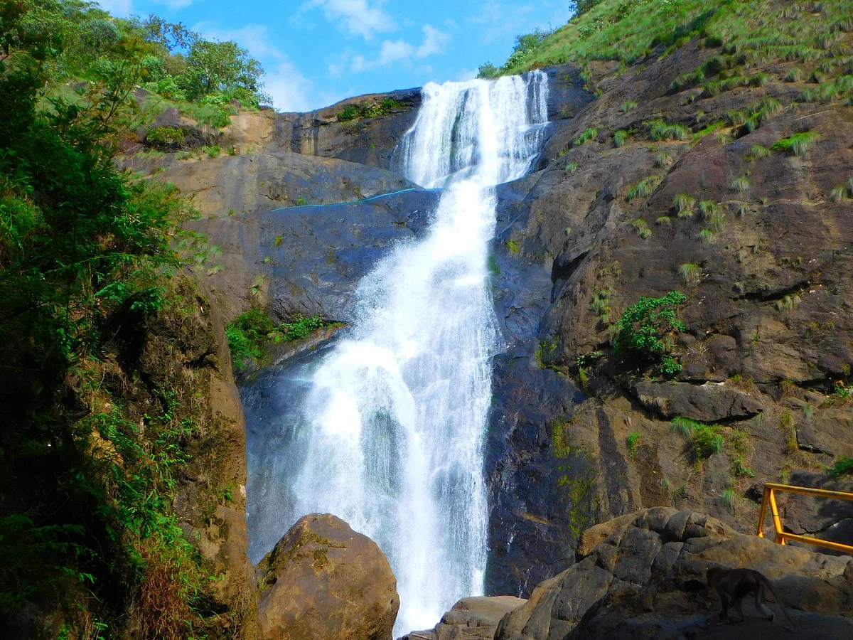 Palaruvi Falls