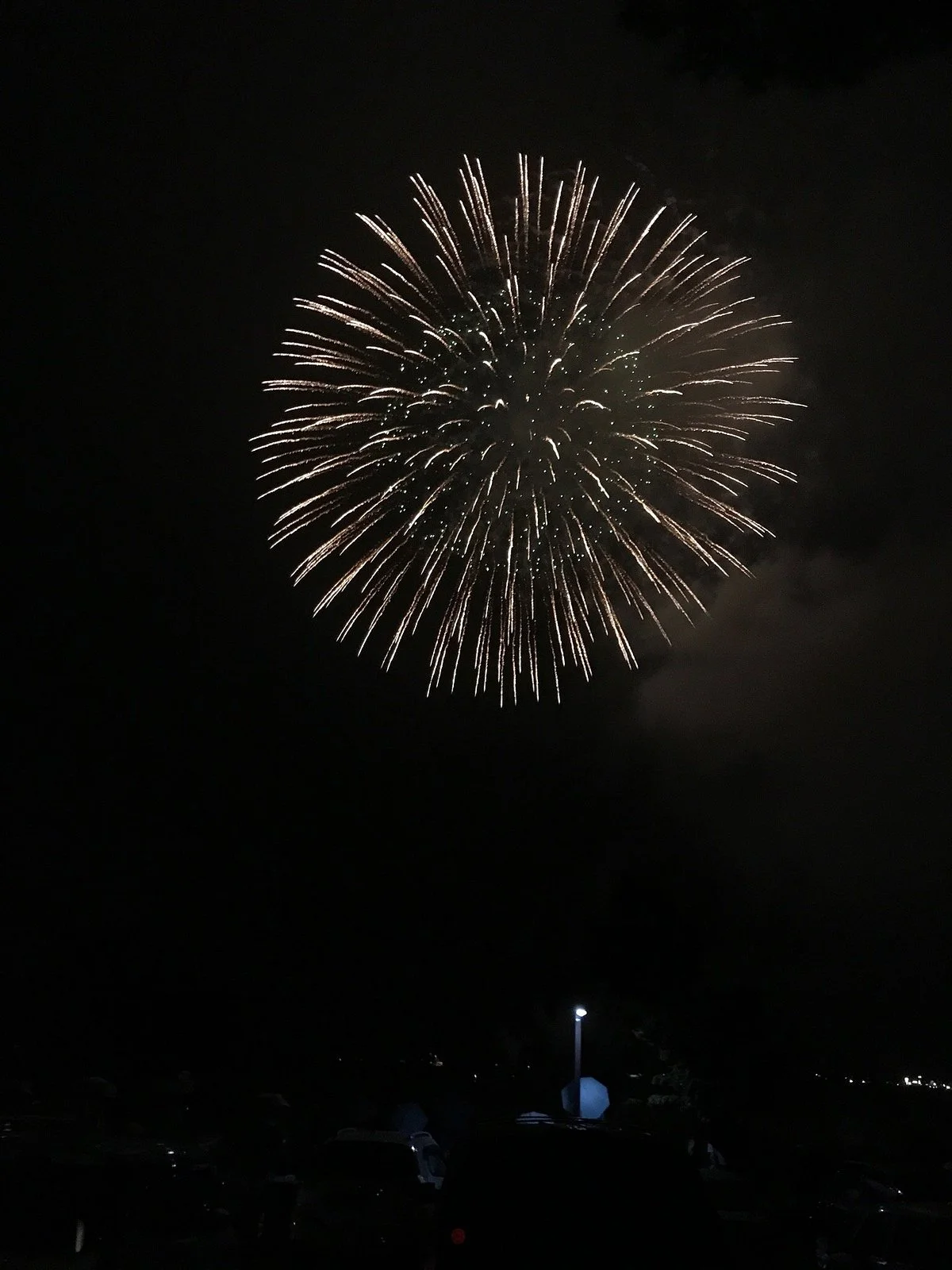 Yamanakako Fireworks Festival Hokosai
