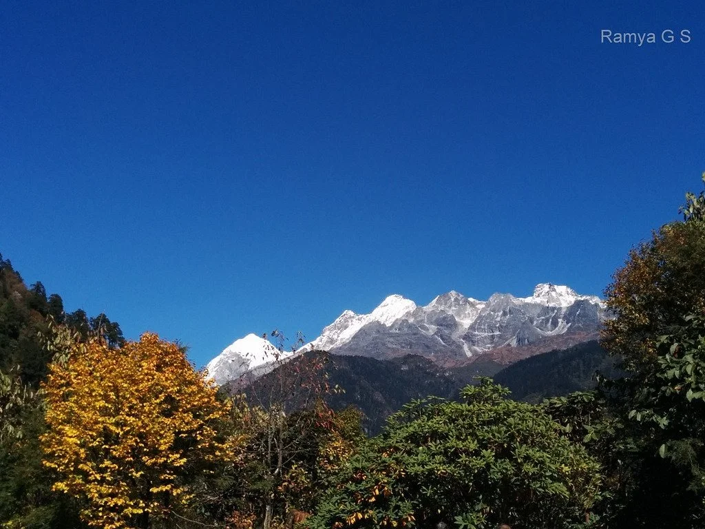 Kanchendzonga National Park