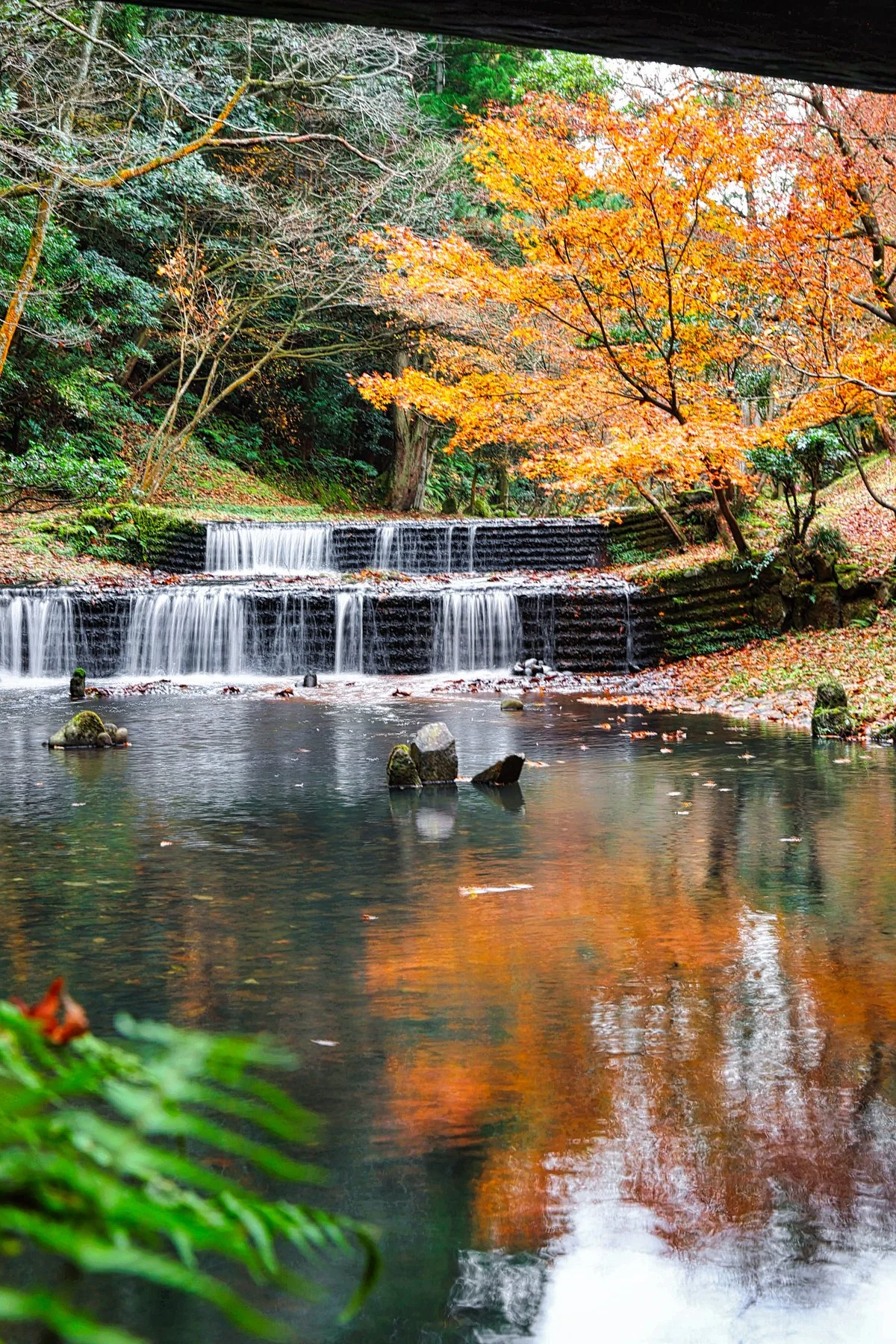 Akasakayama Park