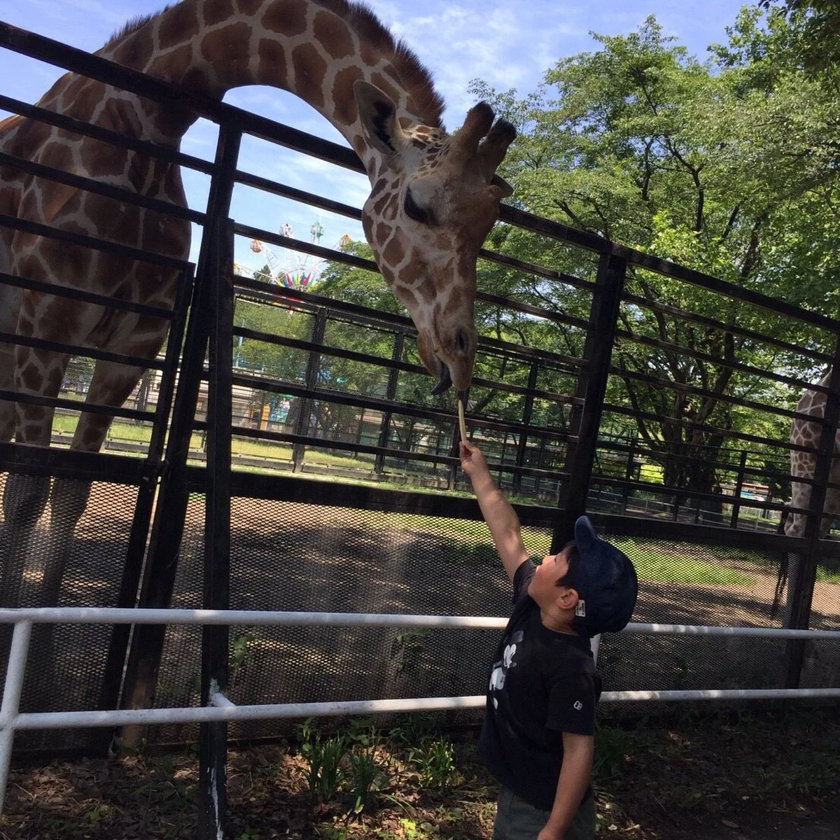 Utsunomiy Zoo