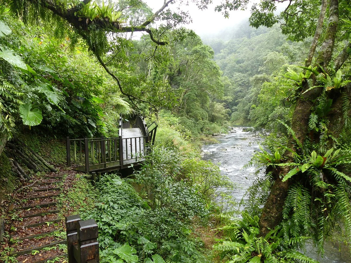 Jiagualiao Fish and Fern Trail