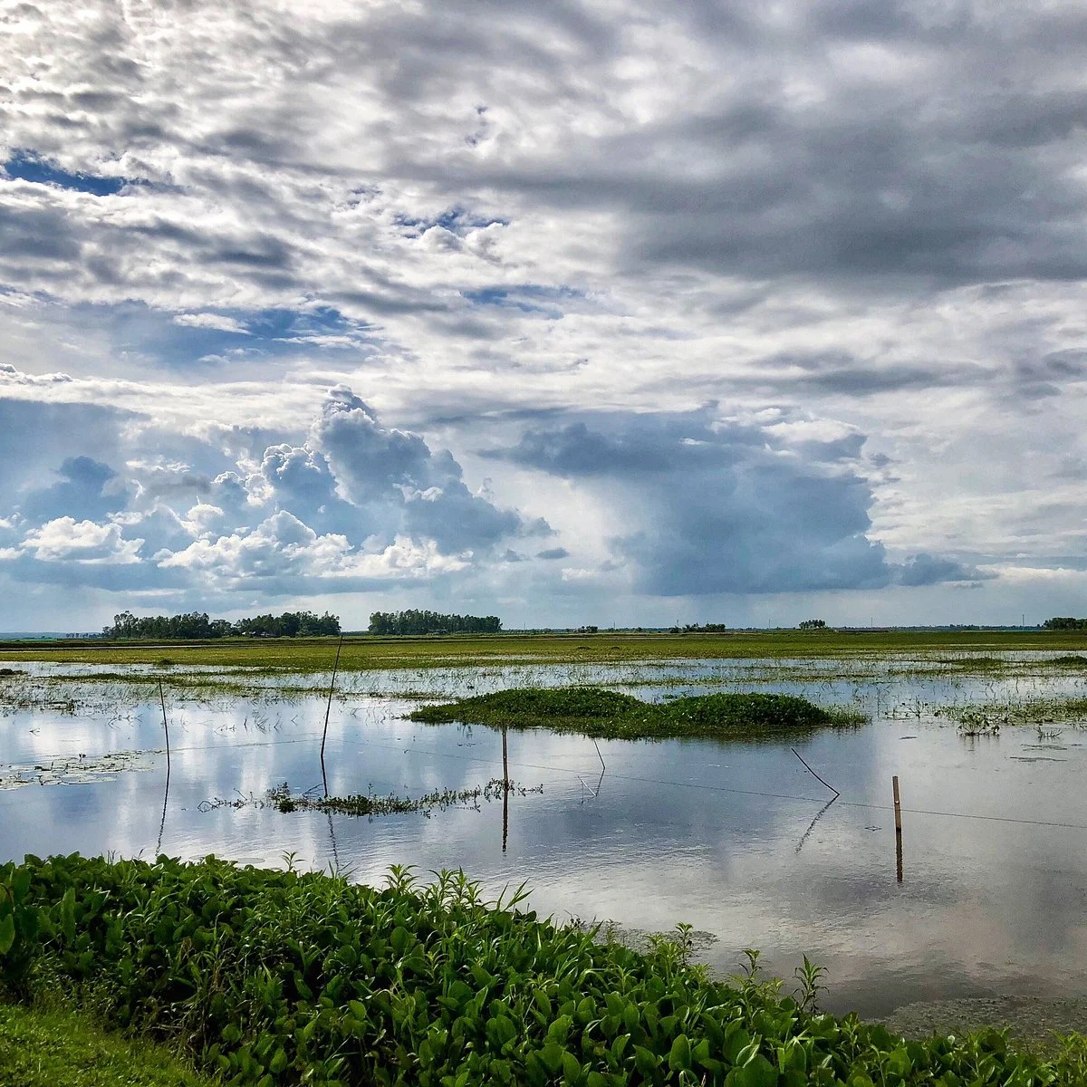 Baikka Beel Wetland Sanctuary