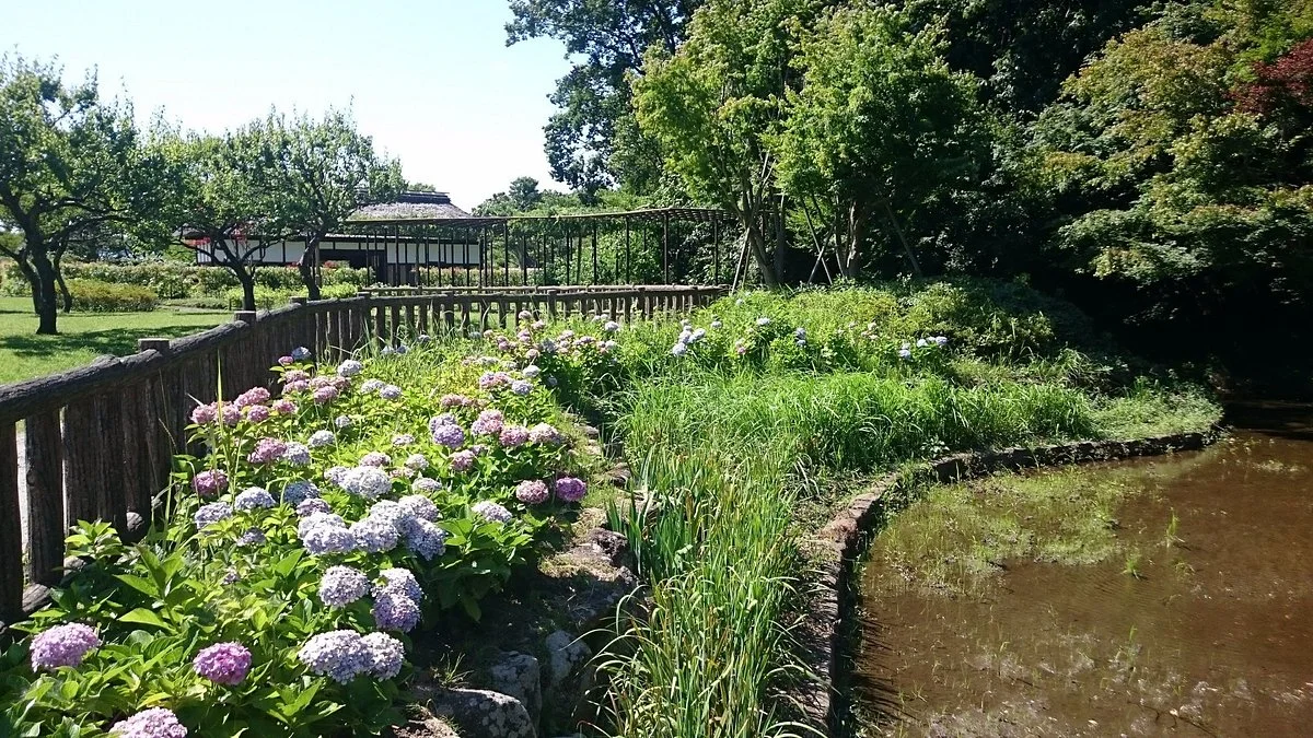 Shinbayashi Park