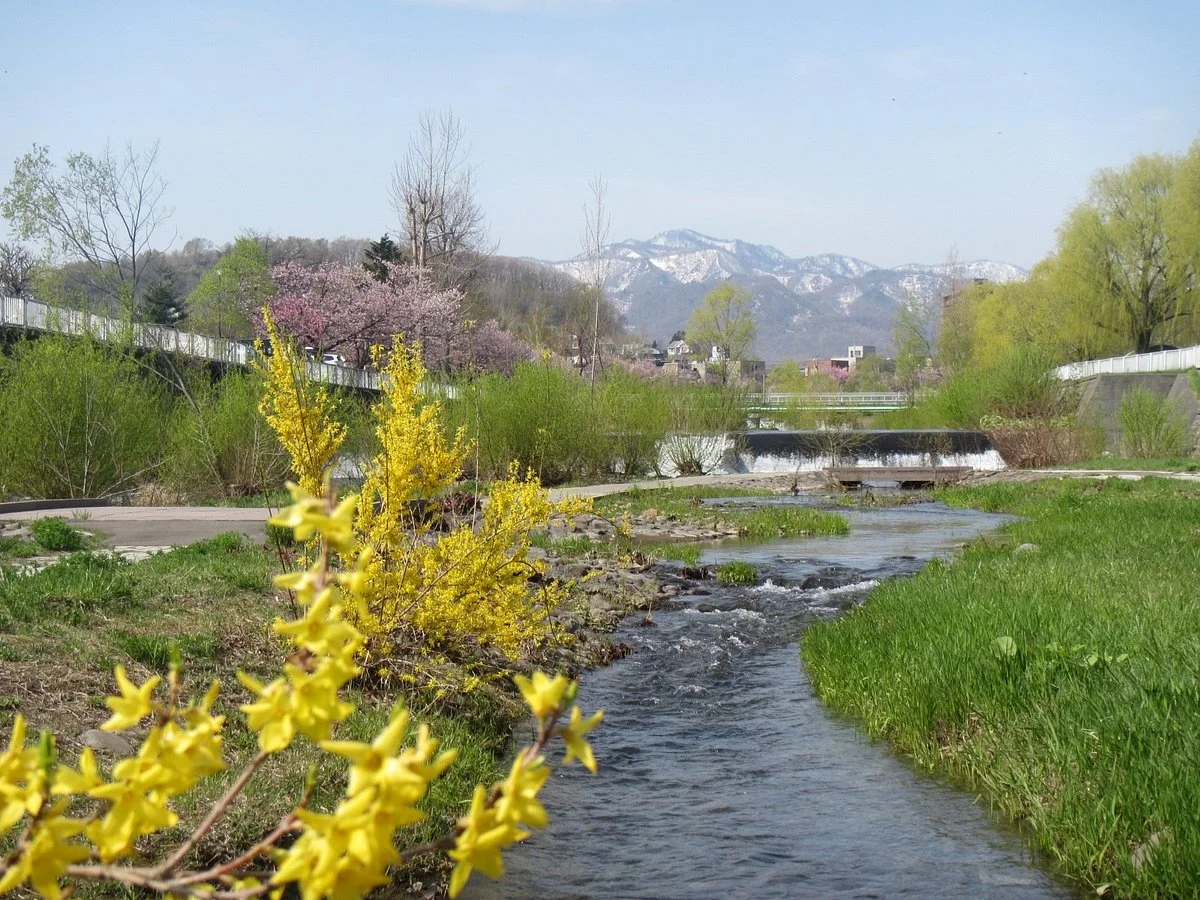 Kotonihassamu River