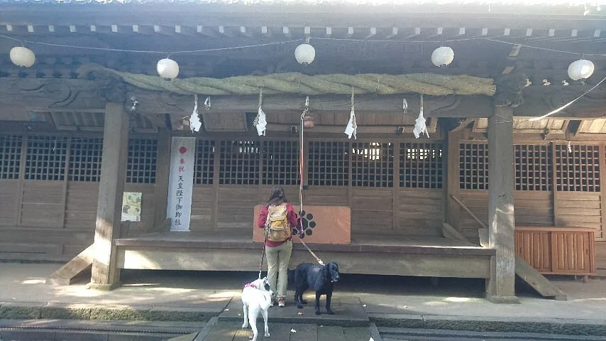Hasuge Shrine