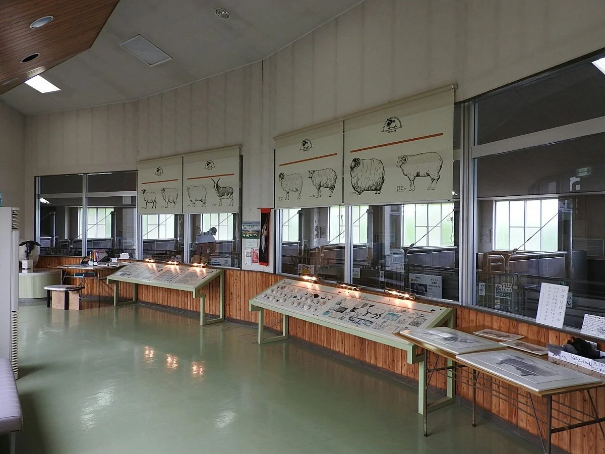 World Sheep Museum
