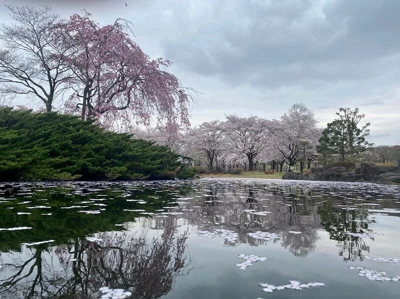 Nakagawa Riverside Park