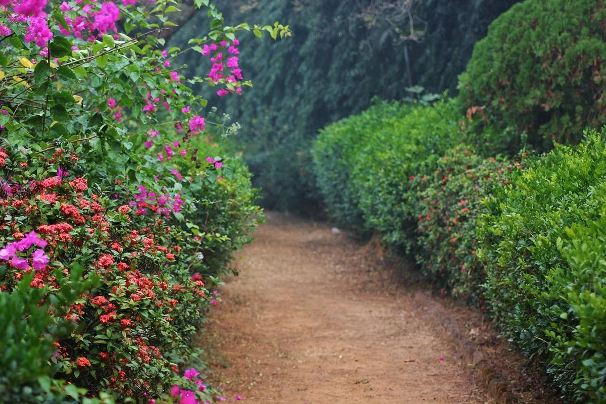 Bhalki Machan