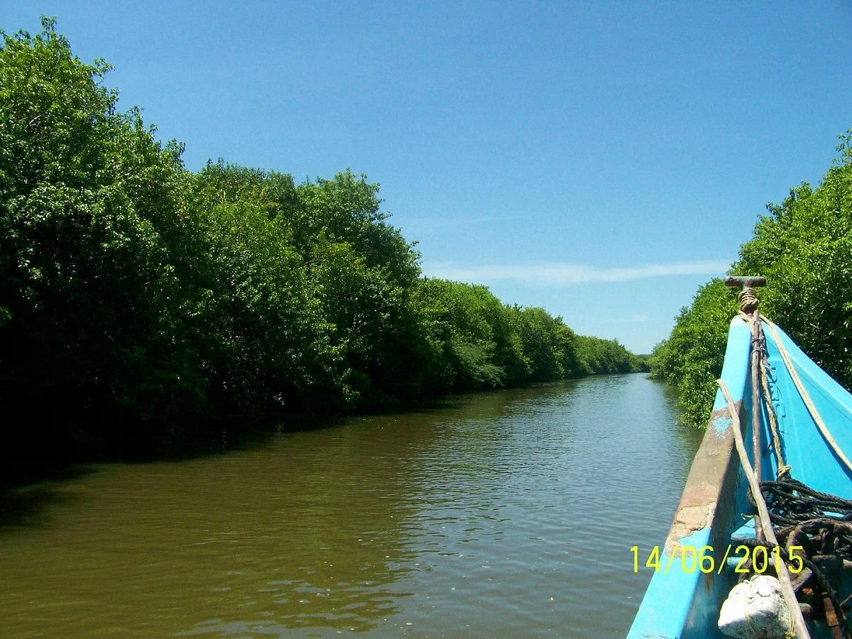 Muthupet Lagoon