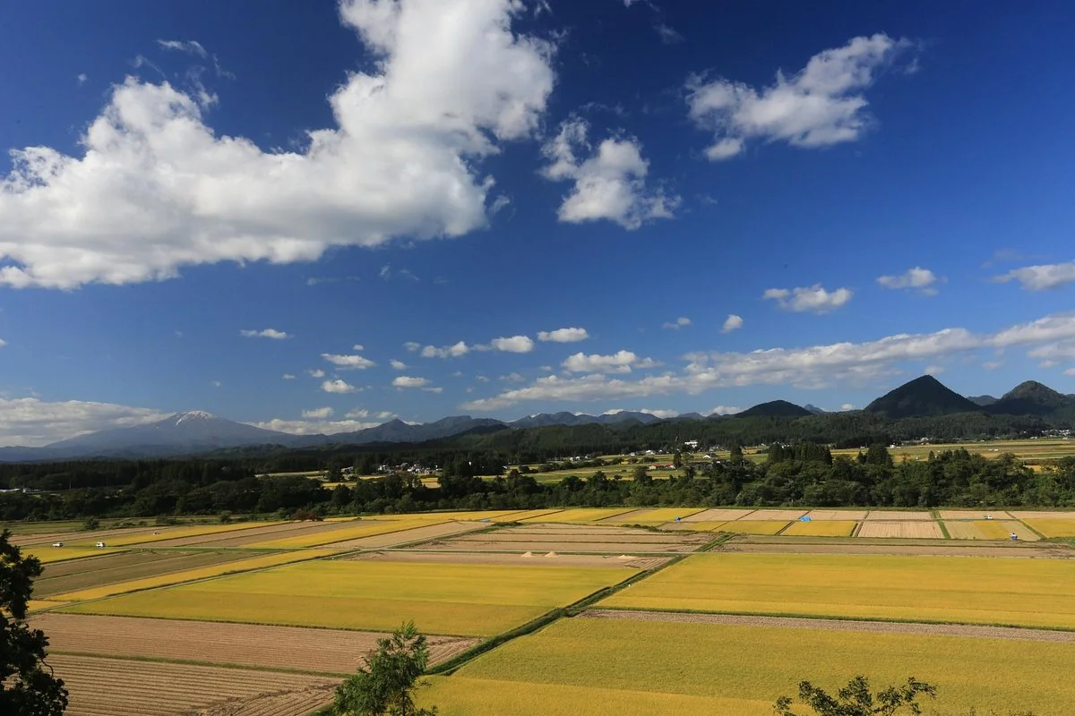 Kaneyama Townscape