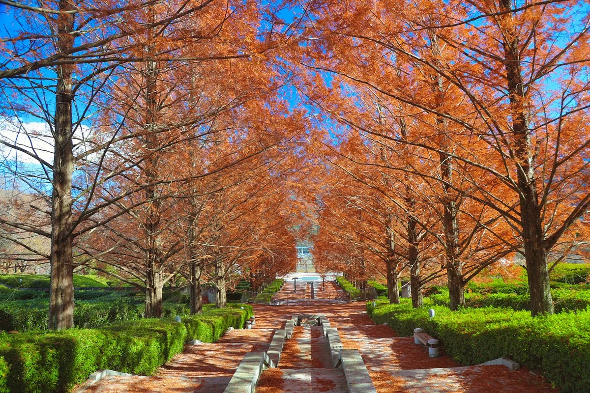 Fujikawa Craft Park