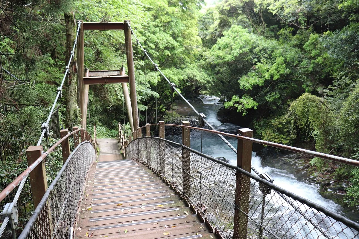 Kawazu Odoriko Takimi Bridge