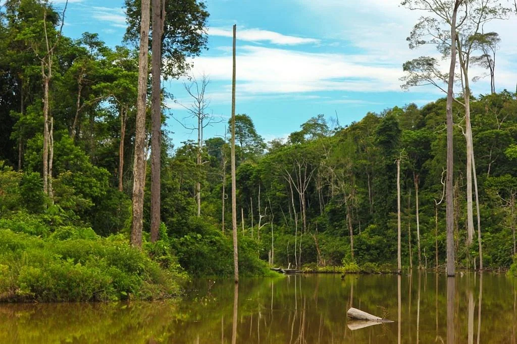 Balikpapan Botanical Garden