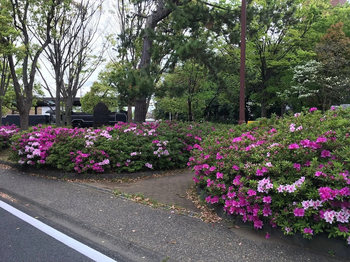 Hiratsuka City Culture Center Park