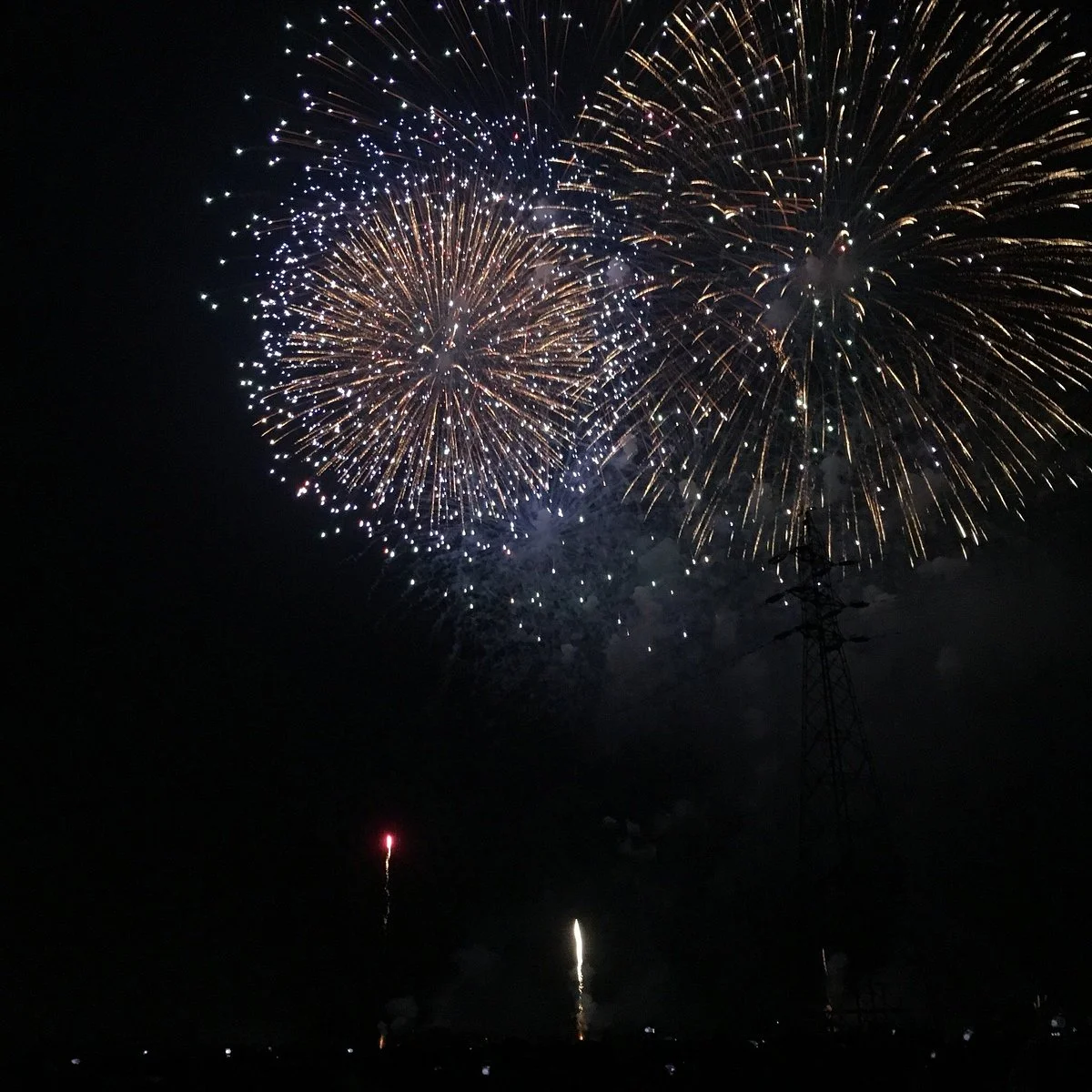 Sakura City Fireworks