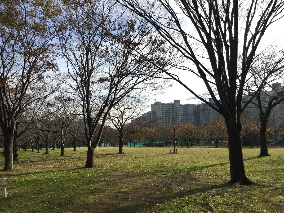 Takasu Taiyonooka Park