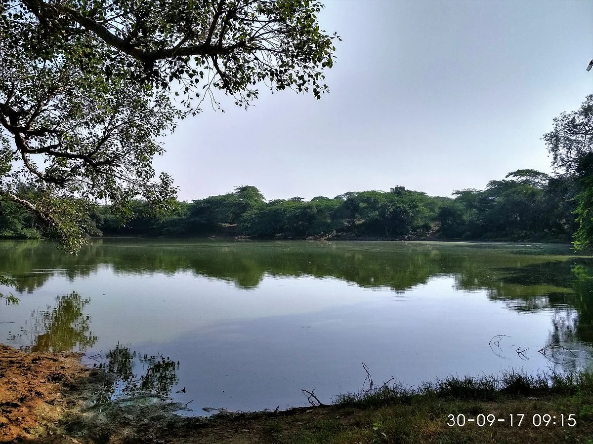 The Lost Lake