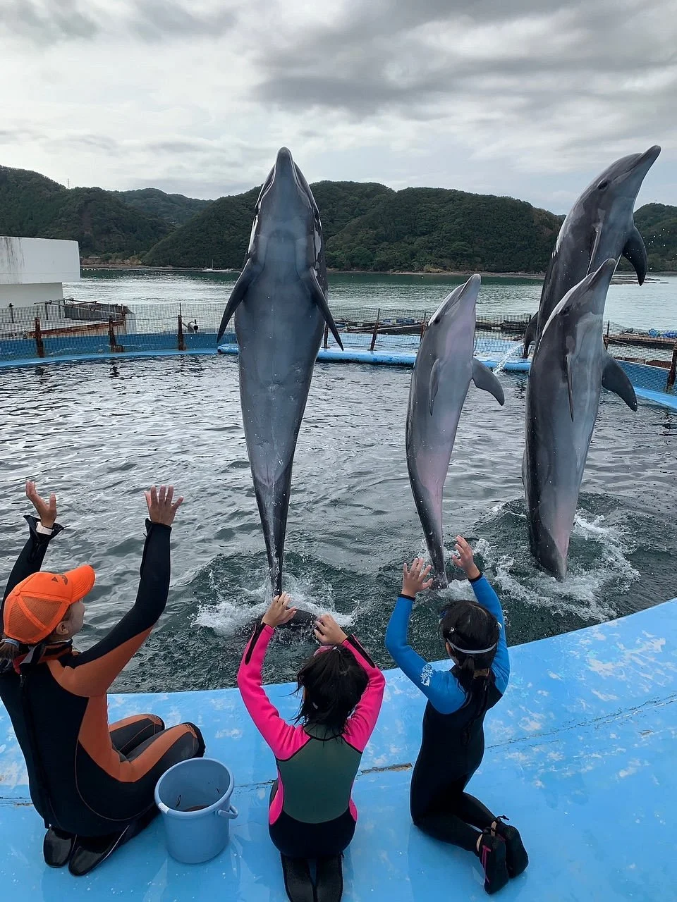Dolphin Resort Iruka Fureai