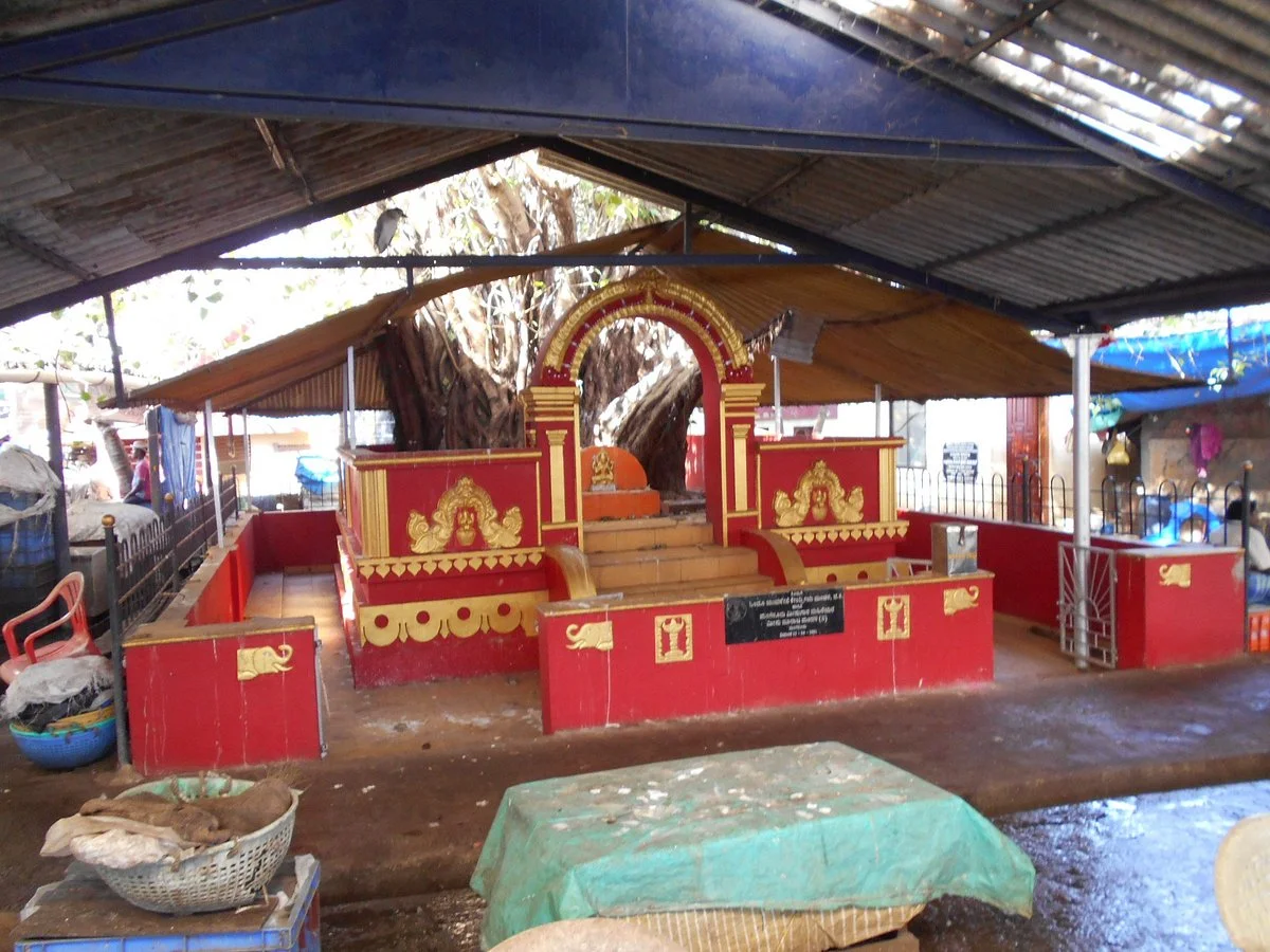 Mangalore Dry Fish Market