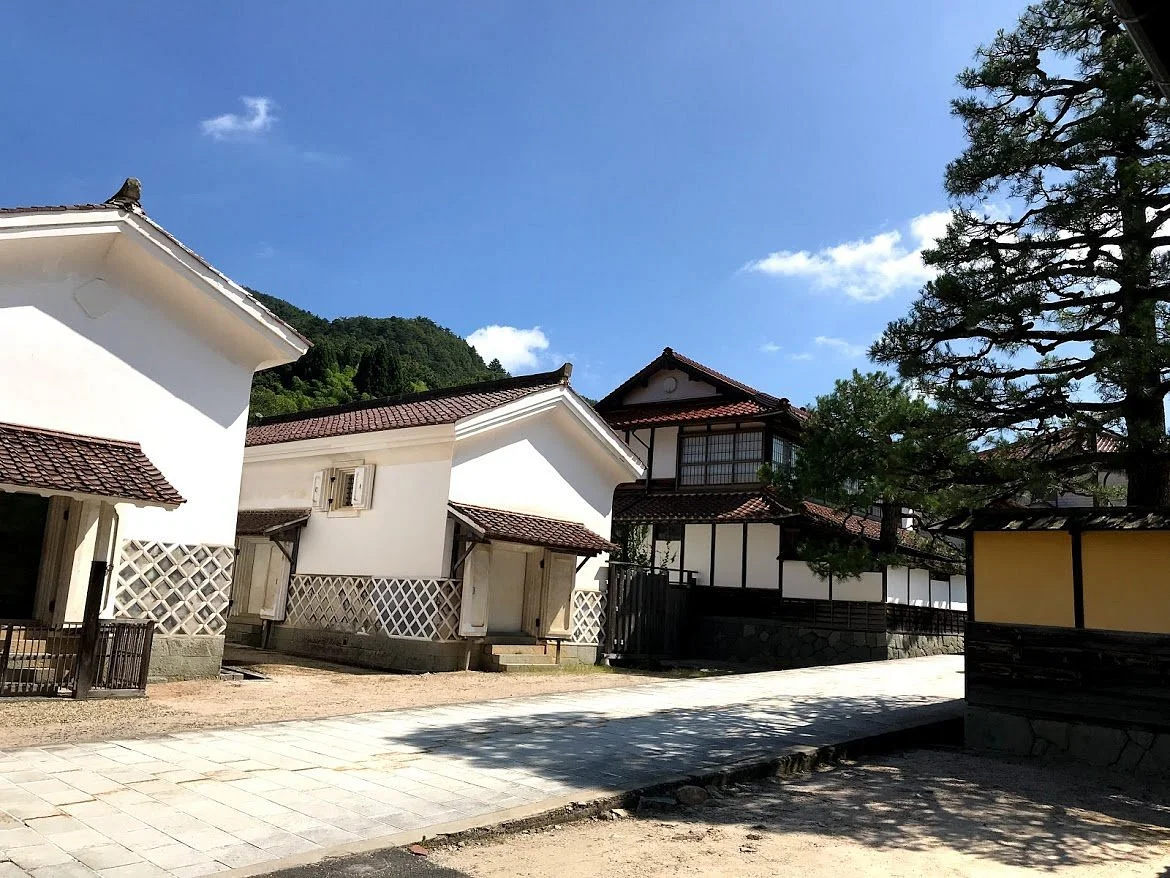 Tanabeke Dozogun