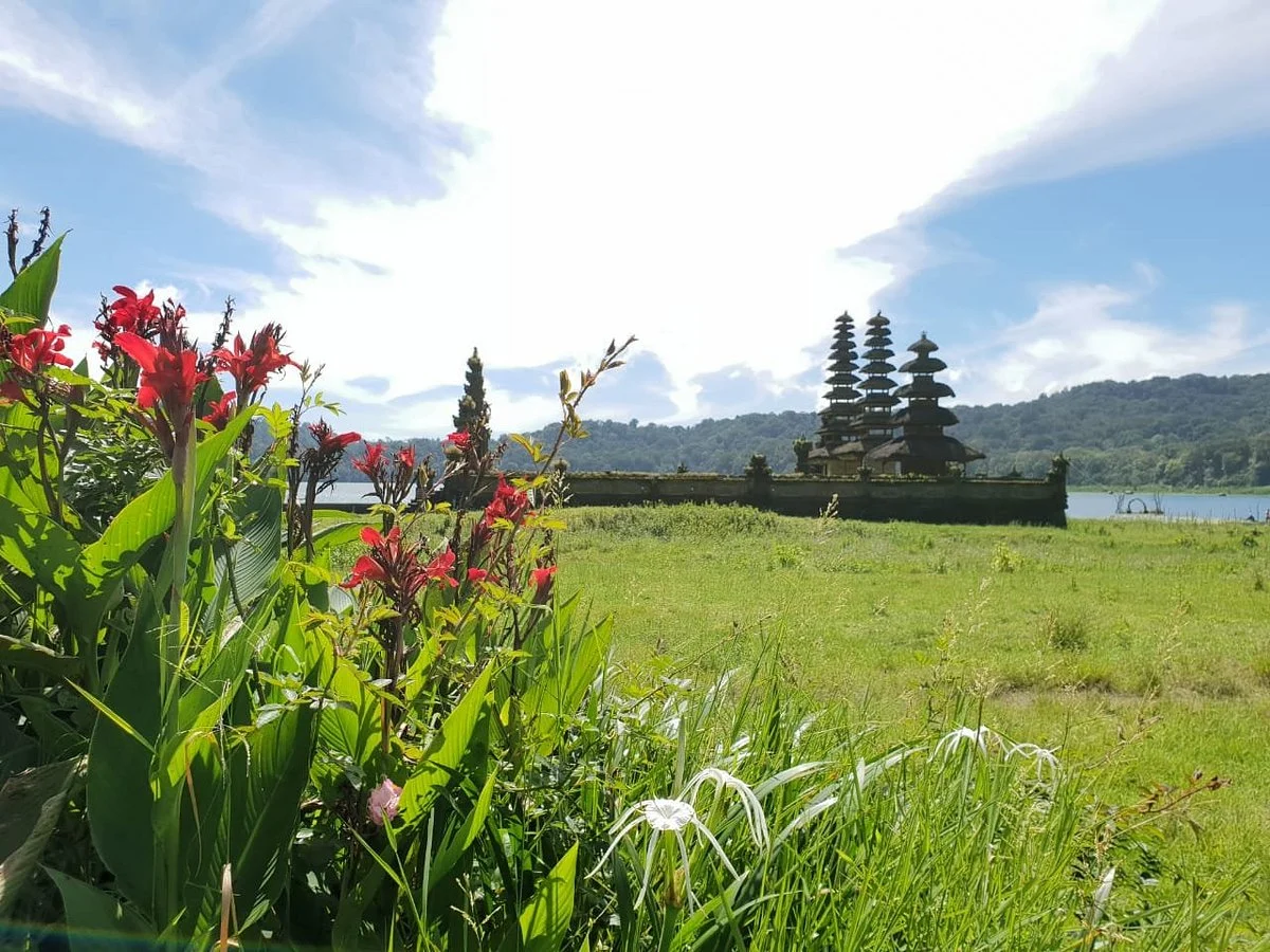 Pemuteran Menjangan Bali Transport