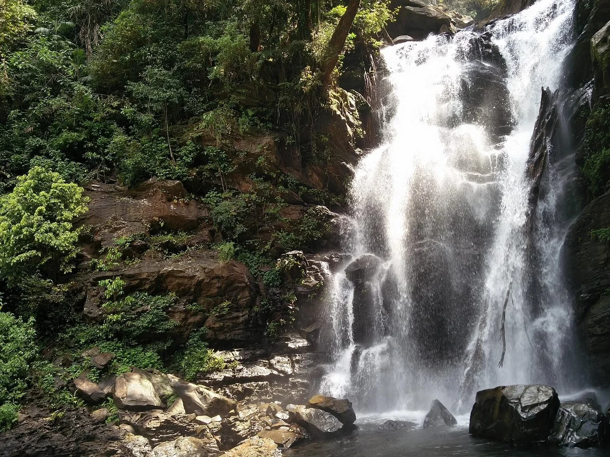 Hanuman Gundi Falls