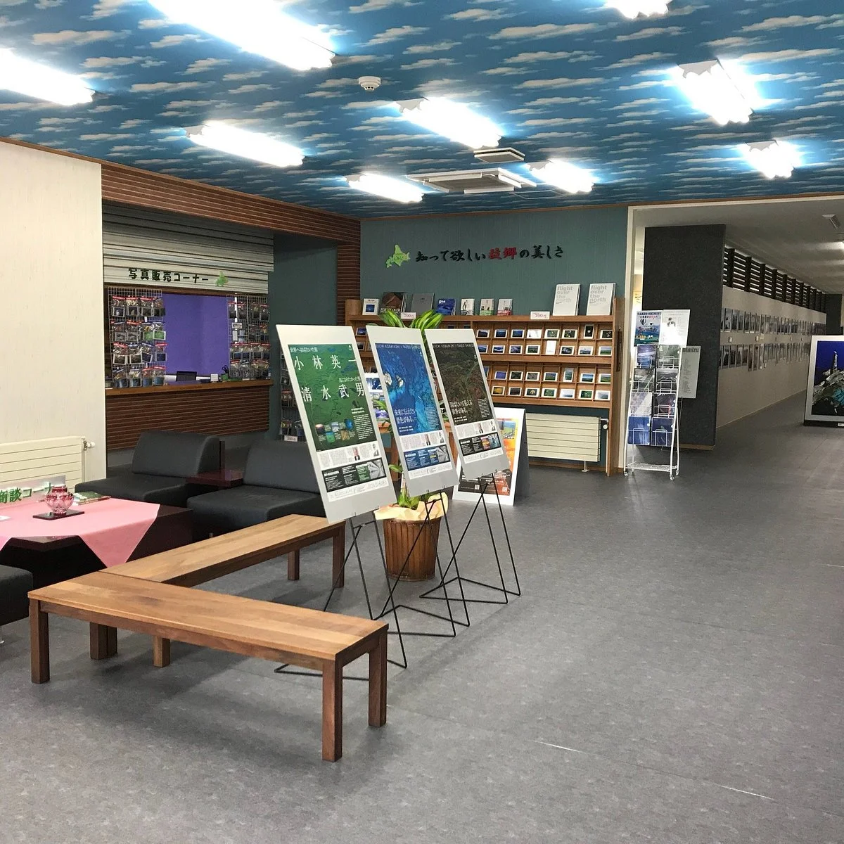 Shimizu Takeo Aerial Photo Gallery